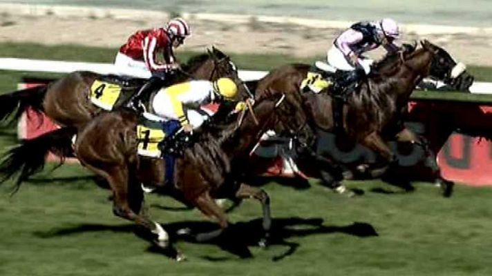 Turf - Turf - 08/06/14