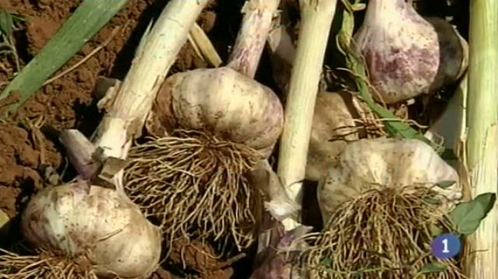 Noticias de Castilla-La Mancha - Noticias de Castilla-La Mancha - 09/06/14