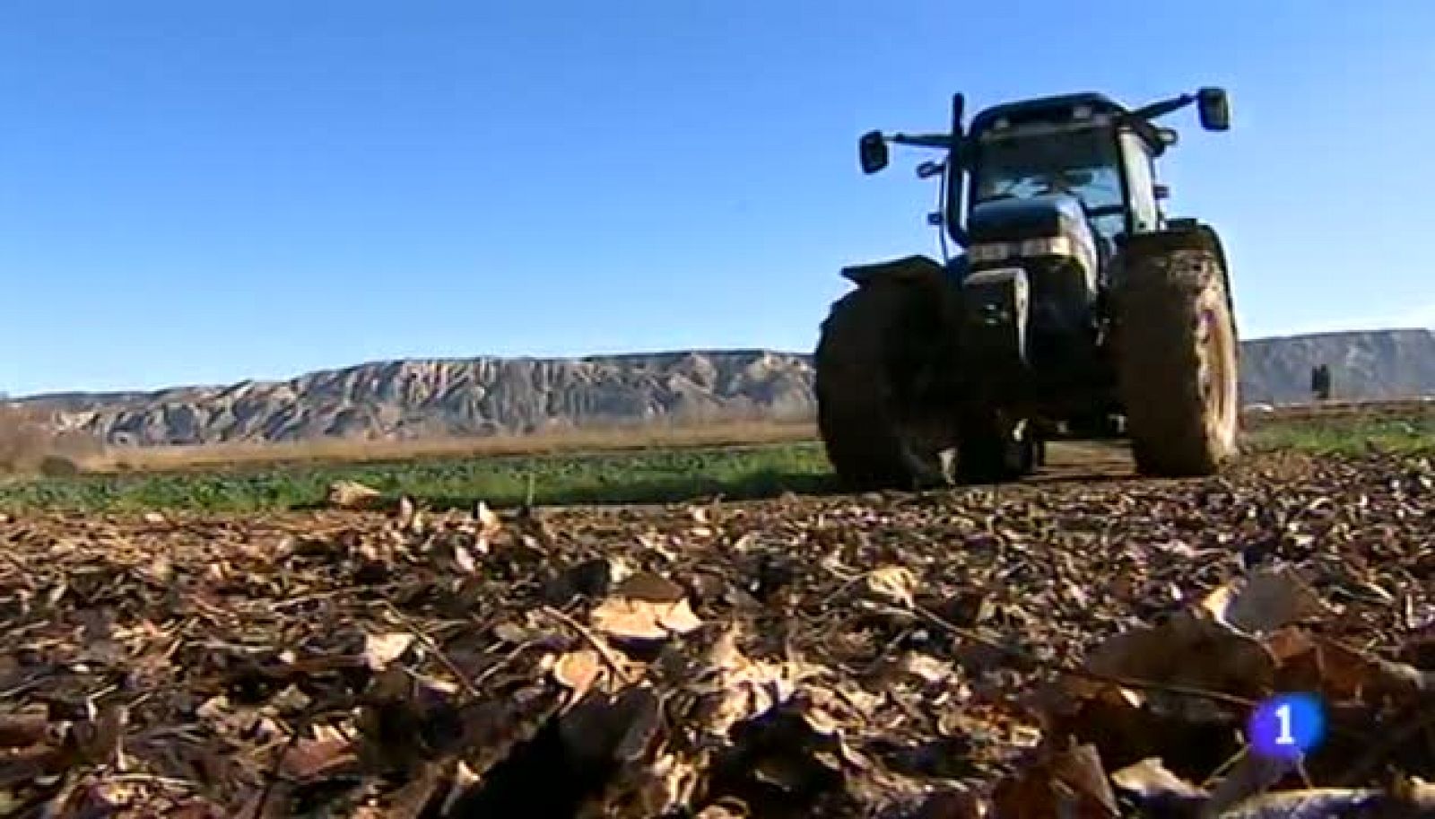 Noticias Aragón: Noticias Aragón 2-09/06/14 | RTVE Play