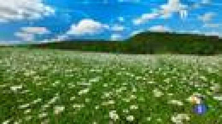 TeleCantabria - El tiempo en Cantabria - 09/06/14