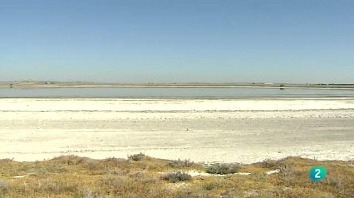 Agrosfera - Humedales (La Mancha)