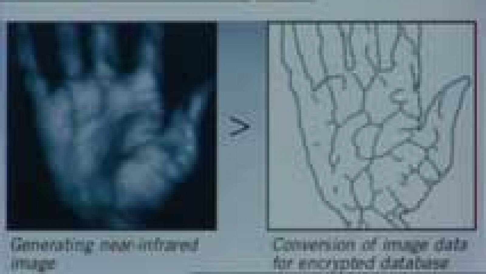 El mapa de las venas de la mano