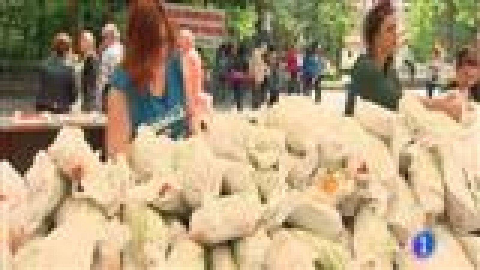 Panorama Regional - 10/06/14 | Ver