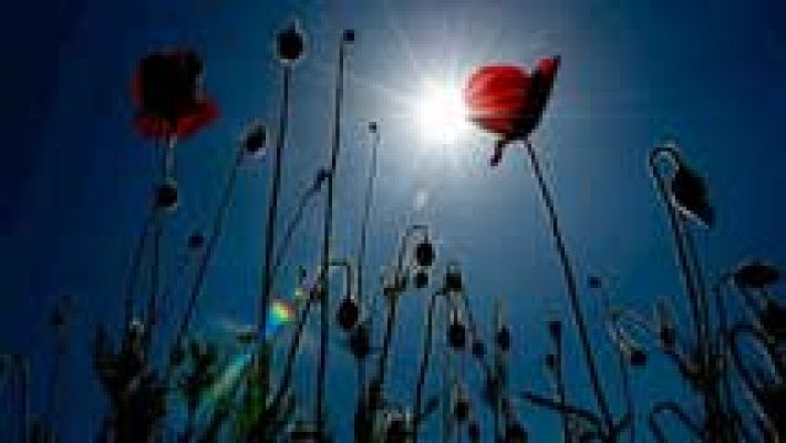 Informativo de Madrid - El tiempo en la Comunidad de Madrid - 11/06/14