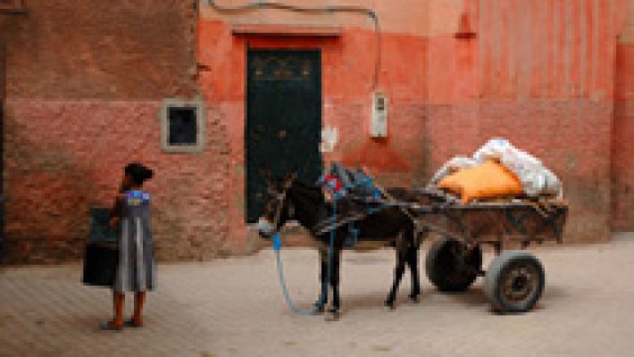 Miles de niñas marroquíes son obligadas a contraer matrimonio