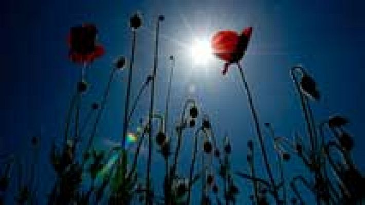 El tiempo - Ascenso térmico en casi toda España