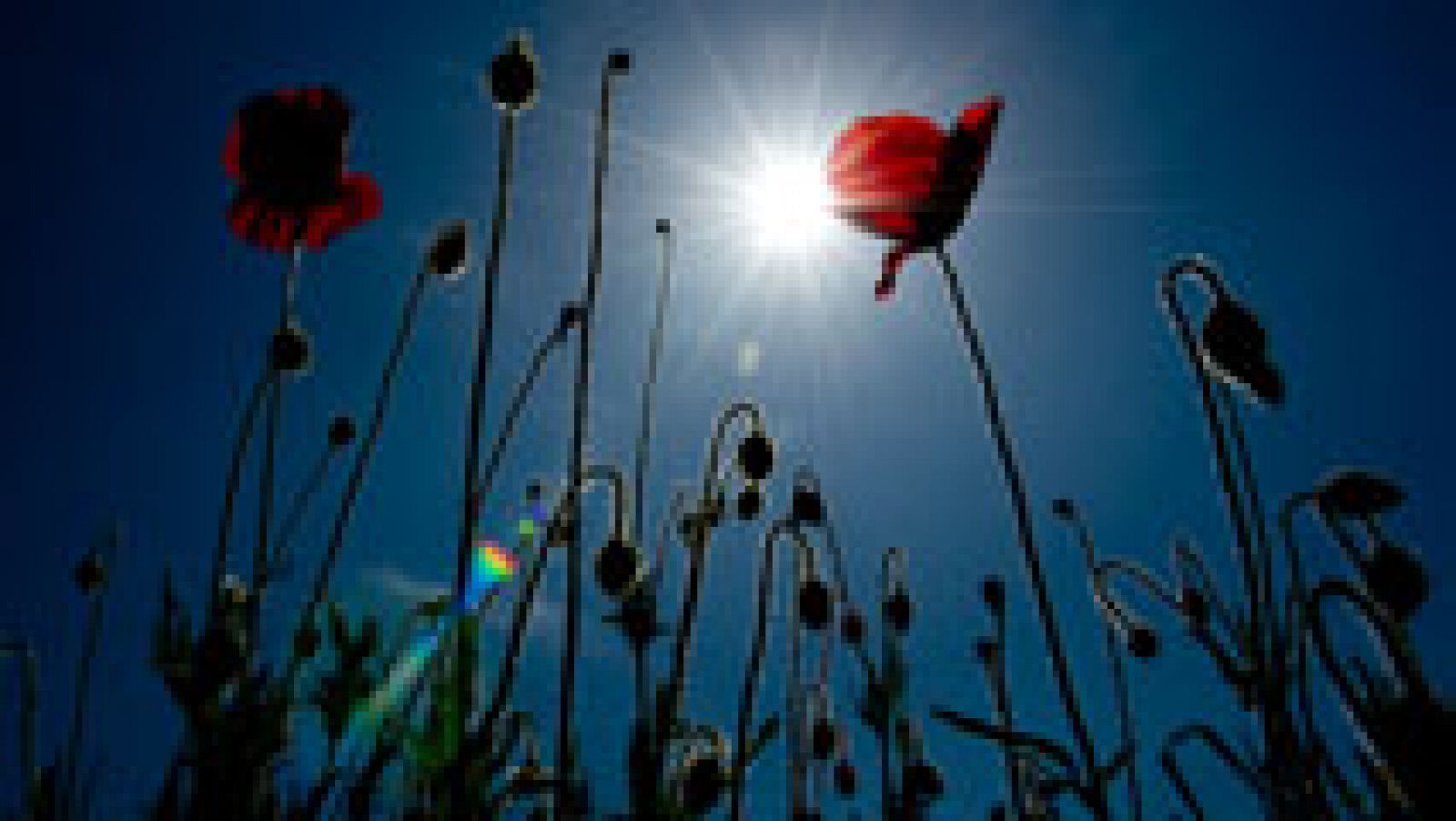 El Tiempo en la Comunidad de Madrid - 12/06/14