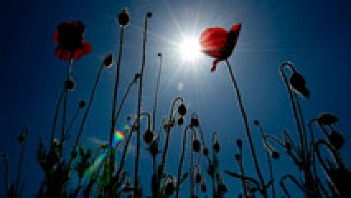 Informativo de Madrid - El Tiempo en la Comunidad de Madrid - 12/06/14