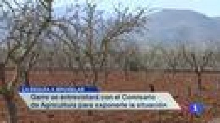 Noticias Murcia - Noticias Murcia - 12/06/2014