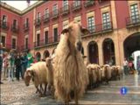 Panorama Regional - Panorama Regional 2 - 13/06/14