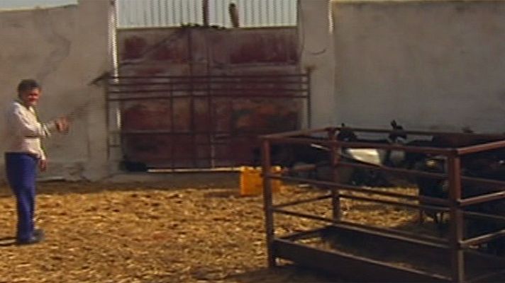 Entre todos - José Antonio consigue salvar su explotación de cabras