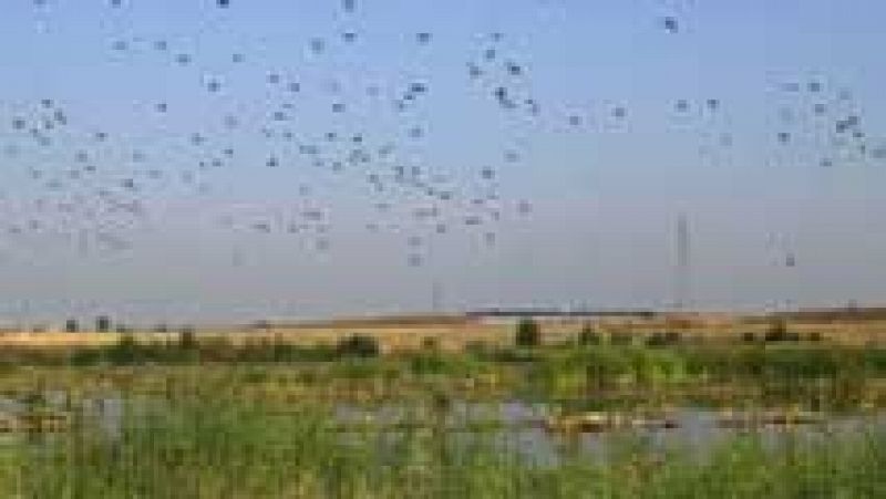 Chubascos en Cataluña y temperaturas altas en el suroeste peninsular