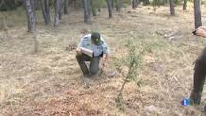 L'Informatiu - Inici de la campanya de prevenció d'incendis forestals 2014