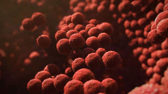 Documenta2 - La vida en nosotros - Promo