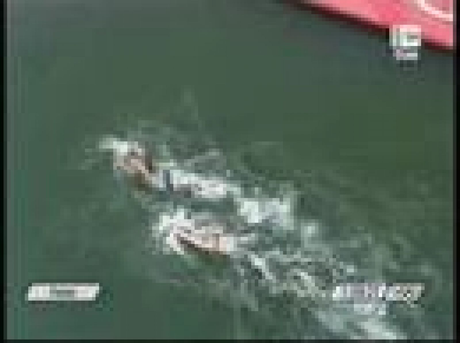 La rusa Larisa Ilchenko vence en aguas abiertas con un tiempo de 1:59:27. La española Yurena Requena no consigue medalla y acaba décimotercera.