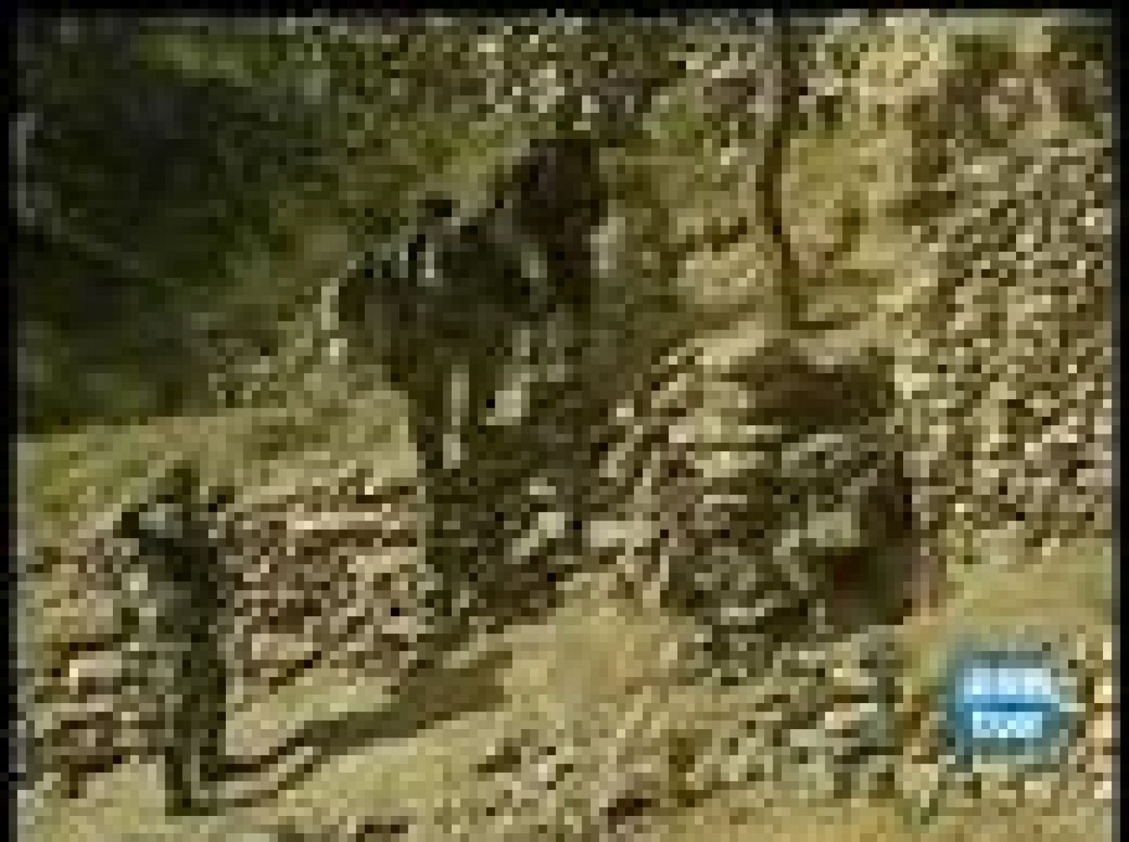 El Telediario en 4 minutos