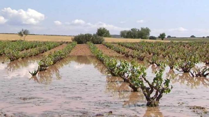 Telediario 1 - Las fuertes tormentas han dejado numerosos daños en el campo