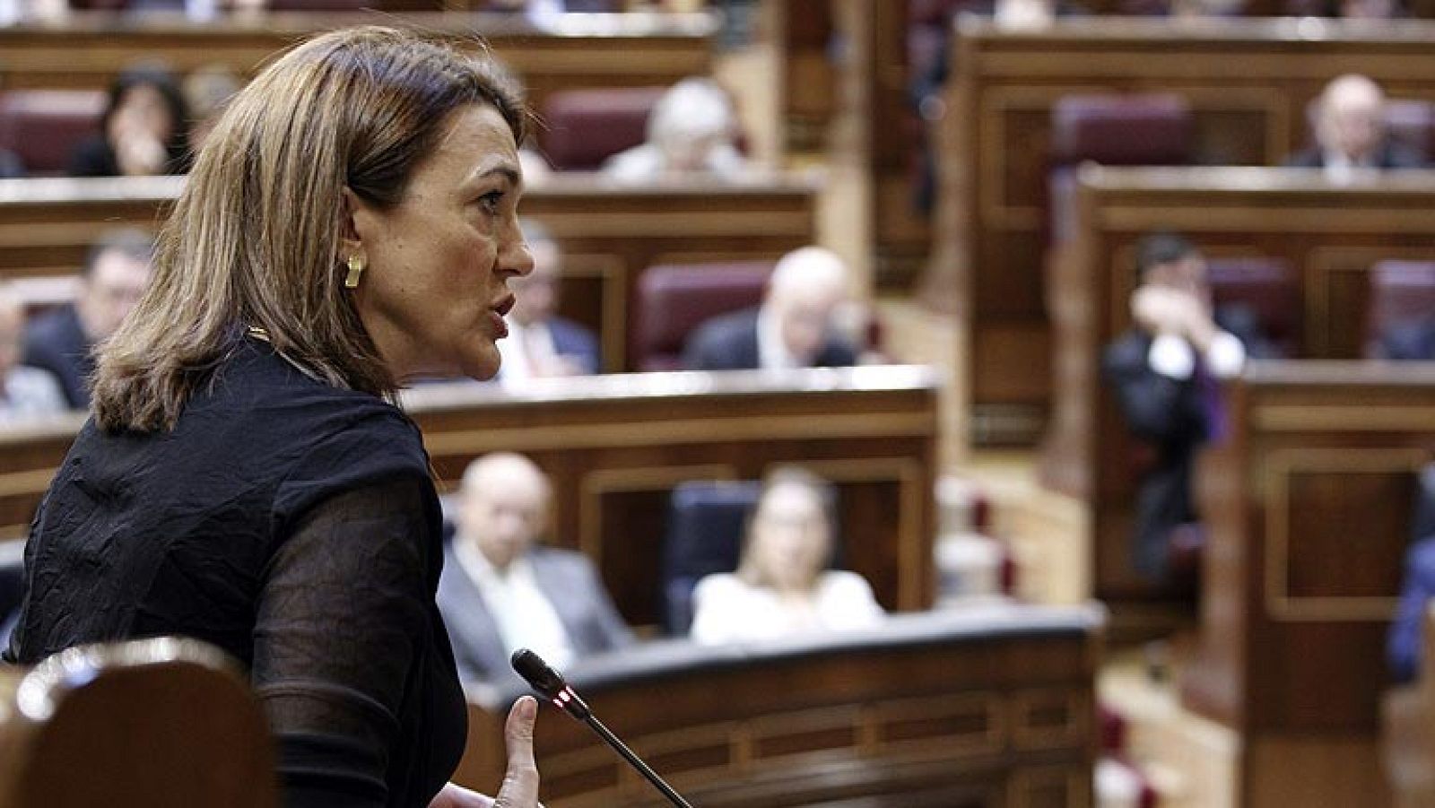 Izquierda plural y parte del grupo Mixto no asistirán a la proclamación de Felipe VI