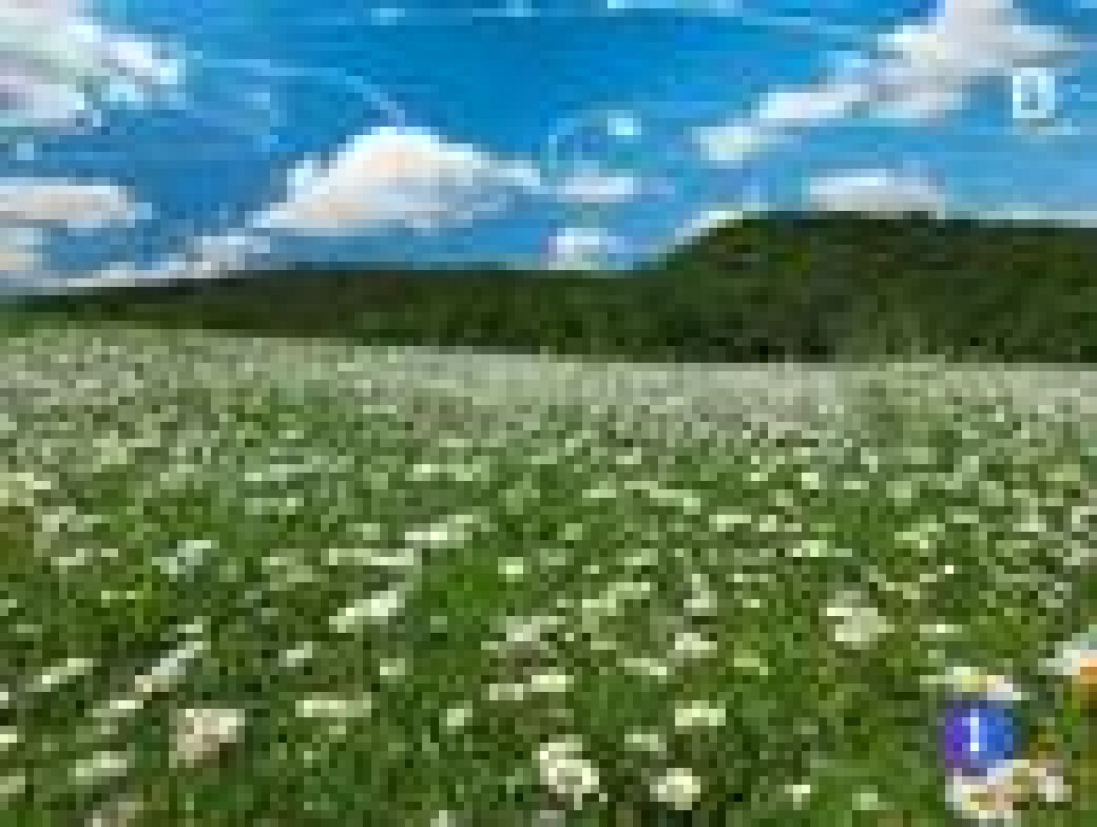 El tiempo en La Rioja - 20/06/14 | Ver