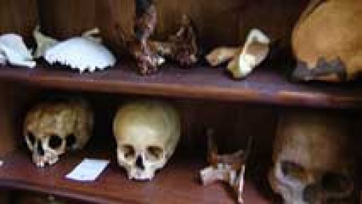 Hallan en Atapuerca una gran colección de cráneos fósiles