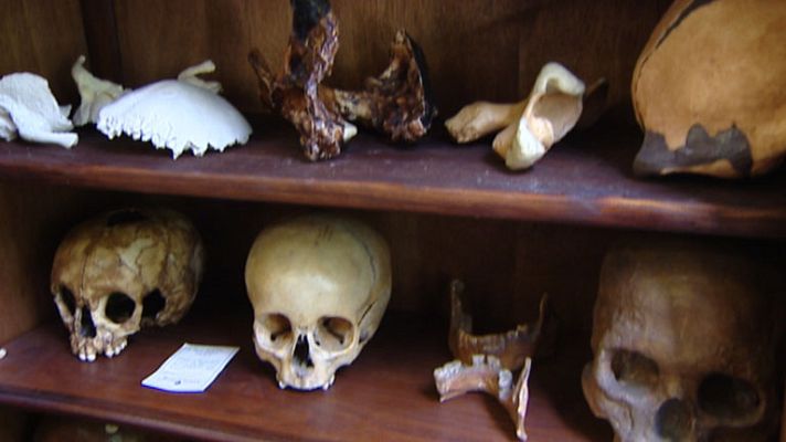 Telediario 1 - Hallan en Atapuerca una gran colección de cráneos fósiles