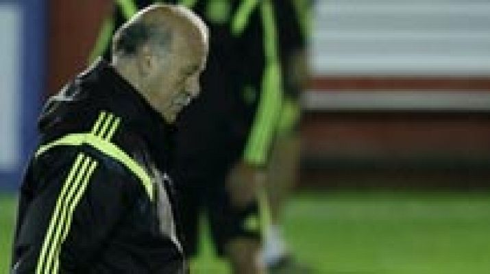 El futuro de Del Bosque condiciona el de la selección