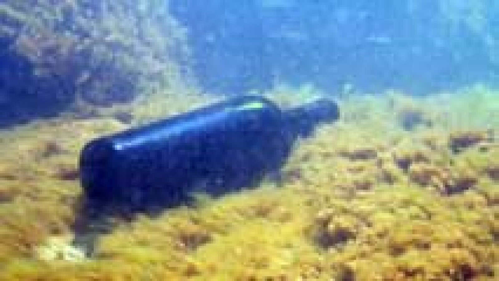 Aquí la Tierra: Existe el vino submarino | RTVE Play