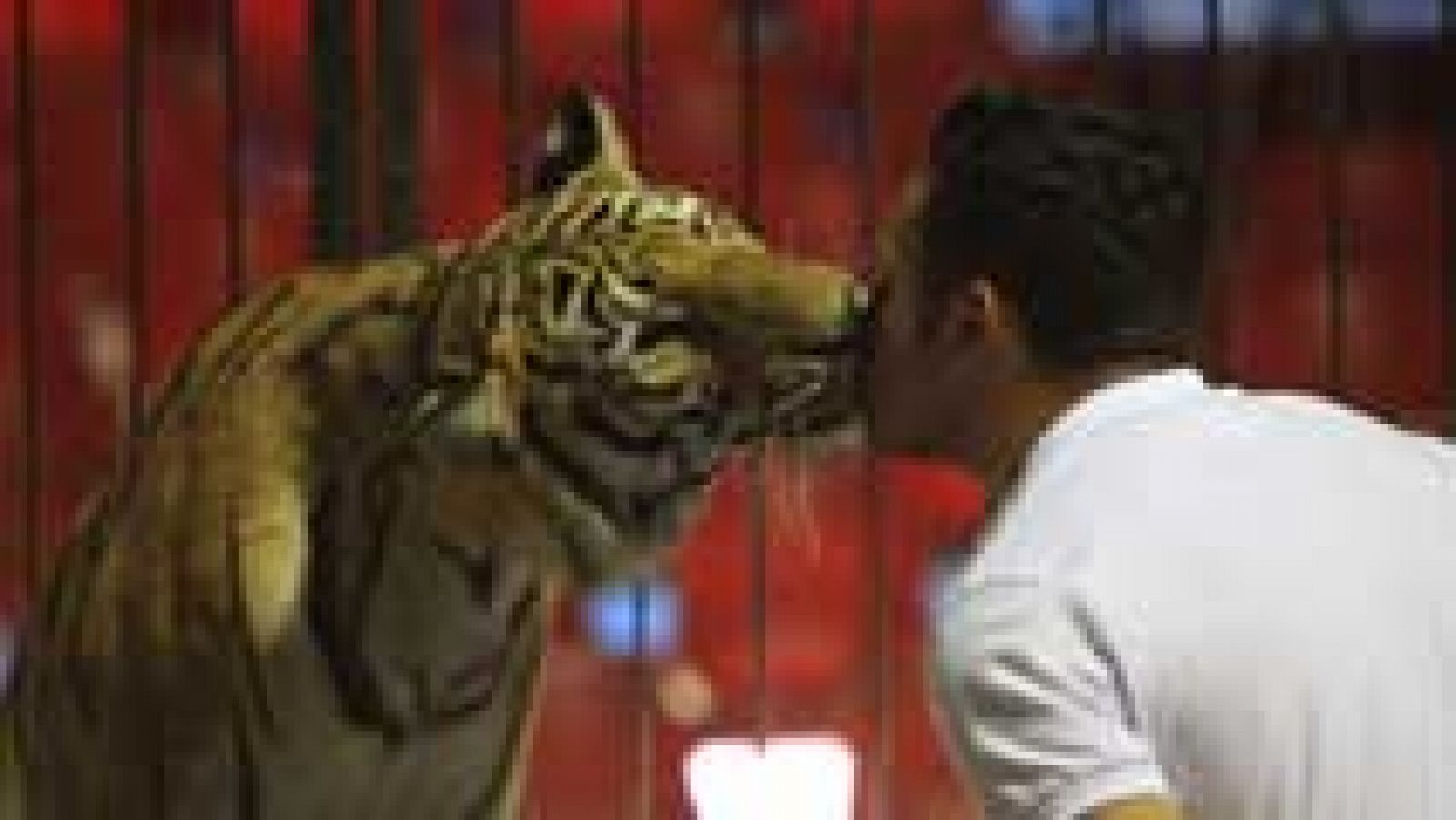 Telediario 1: México prohíbe el uso de animales en los circos | RTVE Play