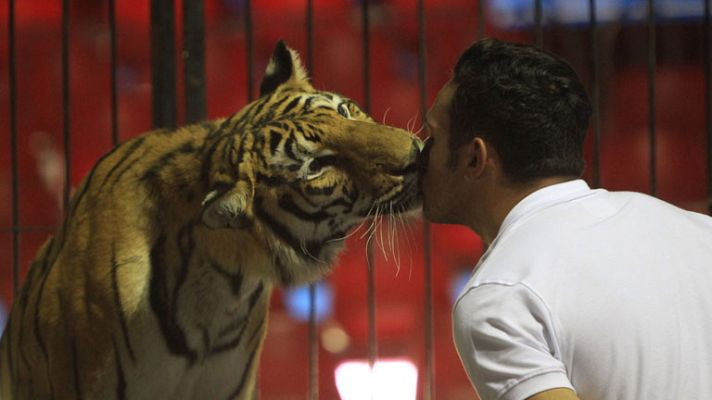 Telediario 1 - México prohíbe el uso de animales en los circos