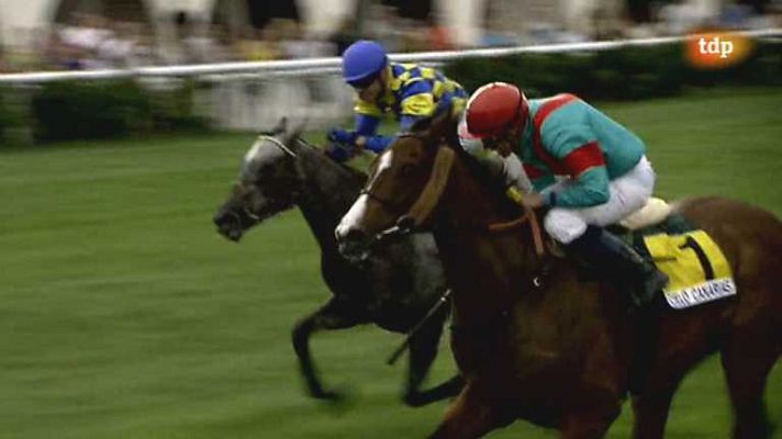 Turf - Turf - 22/06/14