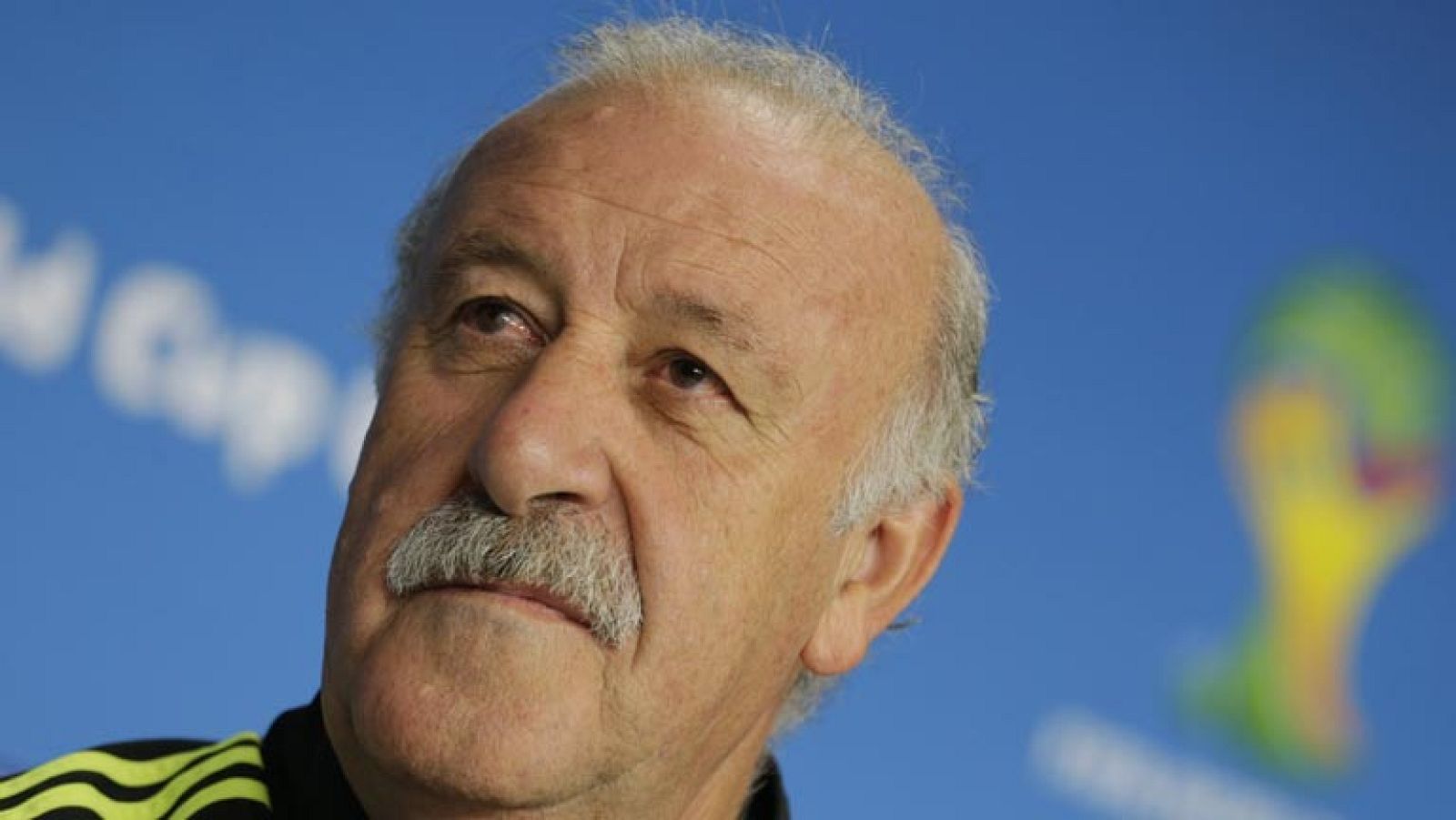 El seleccionador del combinado español, Vicente del Bosque, ha explicado tras la victoria por 0-3 sobre Australia en el Mundial 2014, que el "futuro de la selección está a salvo, sea cual sea el seleccionador" e insistió en que no tiene "un plazo mar