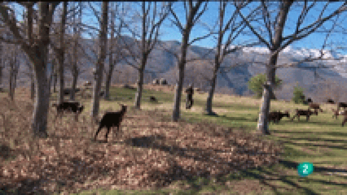 La aventura del Saber - La Aventura del Saber. BBB Farming