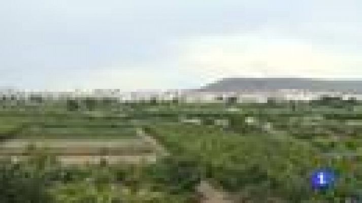 Noticias Murcia - La Región de Murcia en 2' - 25/06/2014