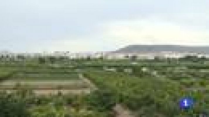 Noticias Murcia - Noticias Murcia - 25/06/2014