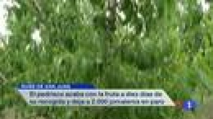 Noticias Murcia - La Comunidad de Murcia en 2' - 26/06/2014