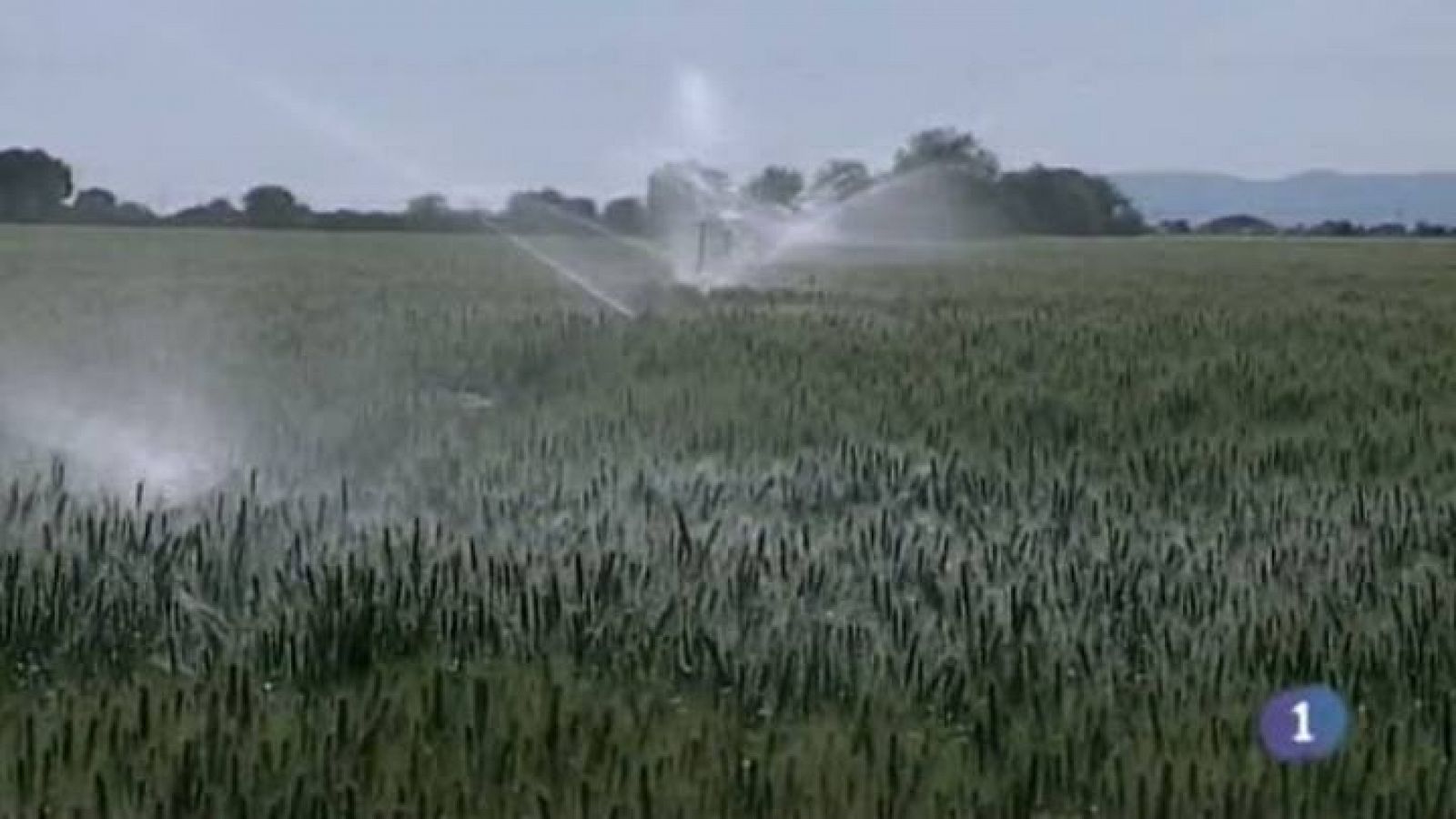 Castilla-La Mancha en 2' - 26/06/14 | Ver