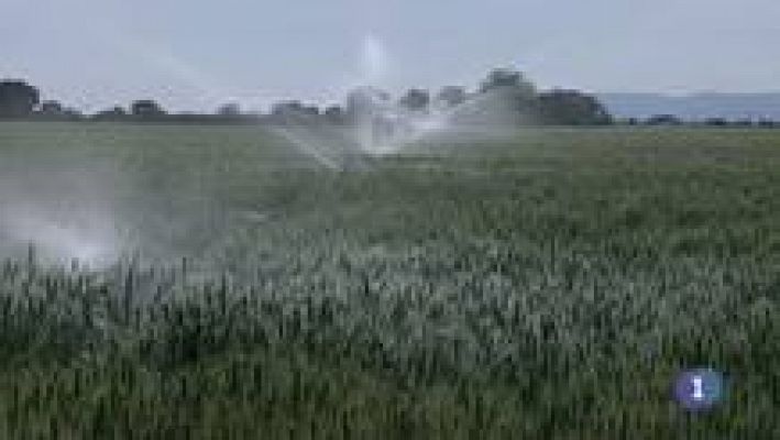 Noticias de Castilla-La Mancha - Noticias de Castilla-La Mancha - 26/06/14