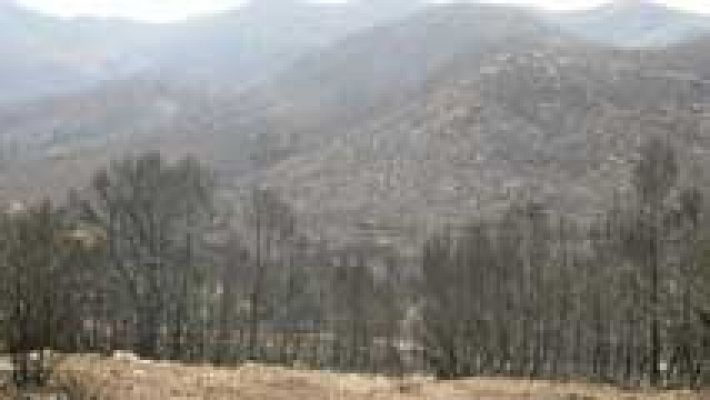 Telediario 1 - La desertización favorece la propagación de los incendios