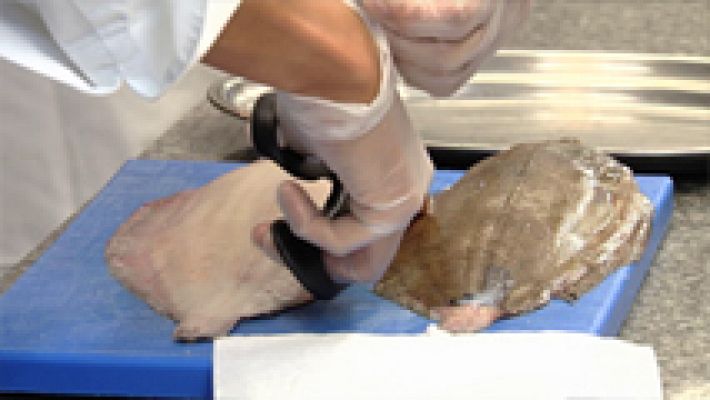 MasterChef - LCBM - Clase de lenguado