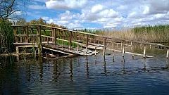 Aquí la Tierra- Por colores, una forma curiosa de ver las Tablas de Daimiel