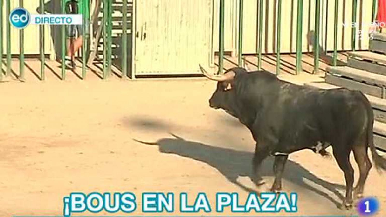 España Directo - 27/06/14 - ver ahora