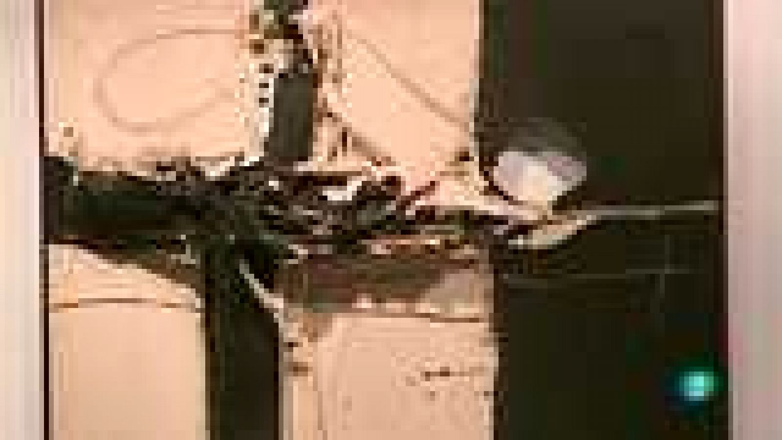 España en Comunidad - 28/06/14 - ver ahora