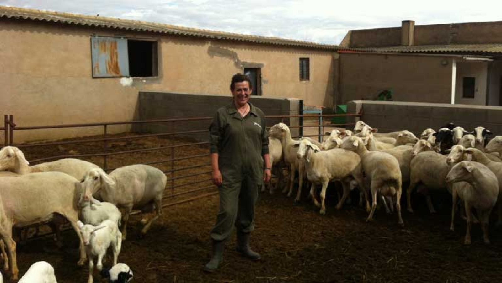 El silencio de los buenos corderos