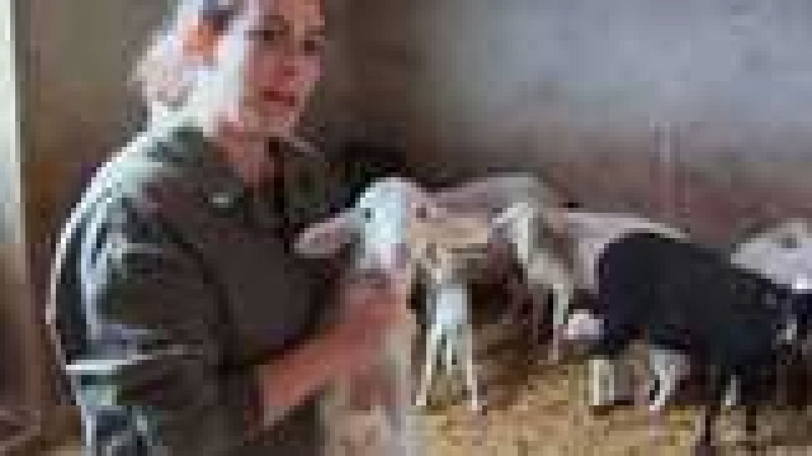 Aquí la Tierra - 30/06/14 - ver ahora