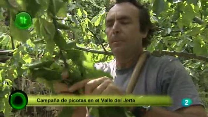 Agrosfera - Picotas del Valle del Jerte