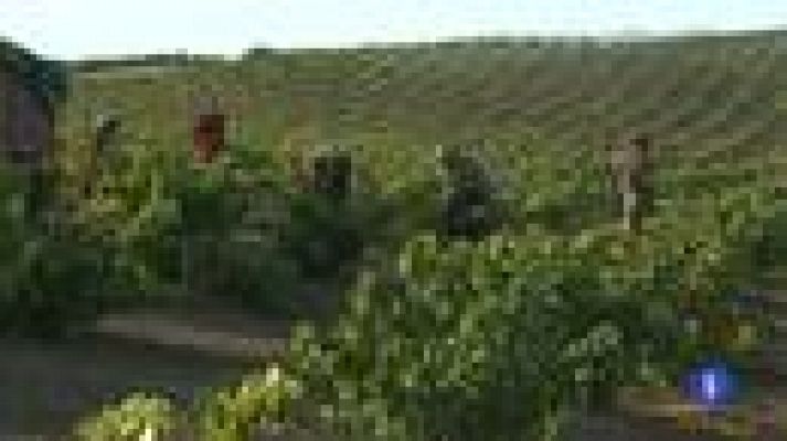 Noticias de Extremadura - Noticias de Extremadura 2 - 01/07/2014