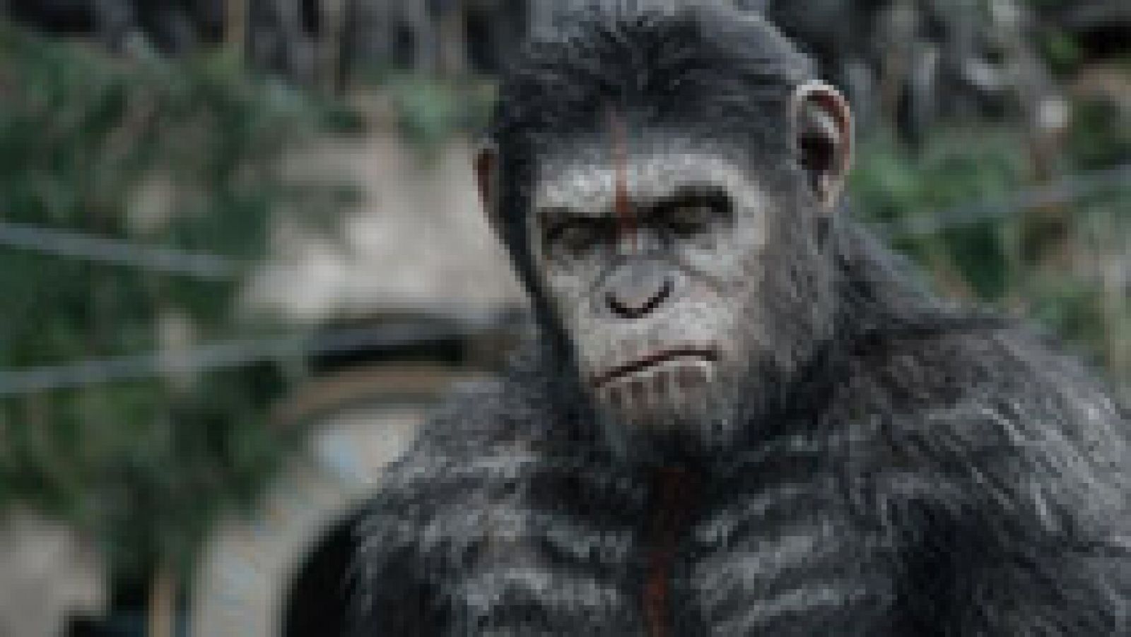 RTVE.es os ofrece, en primicia, el making-of de 'El amanecer del planeta de los simios'