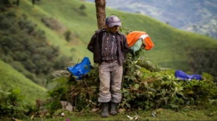 Telediario 1 - Muere un niño que intentaba entrar en EE.UU.