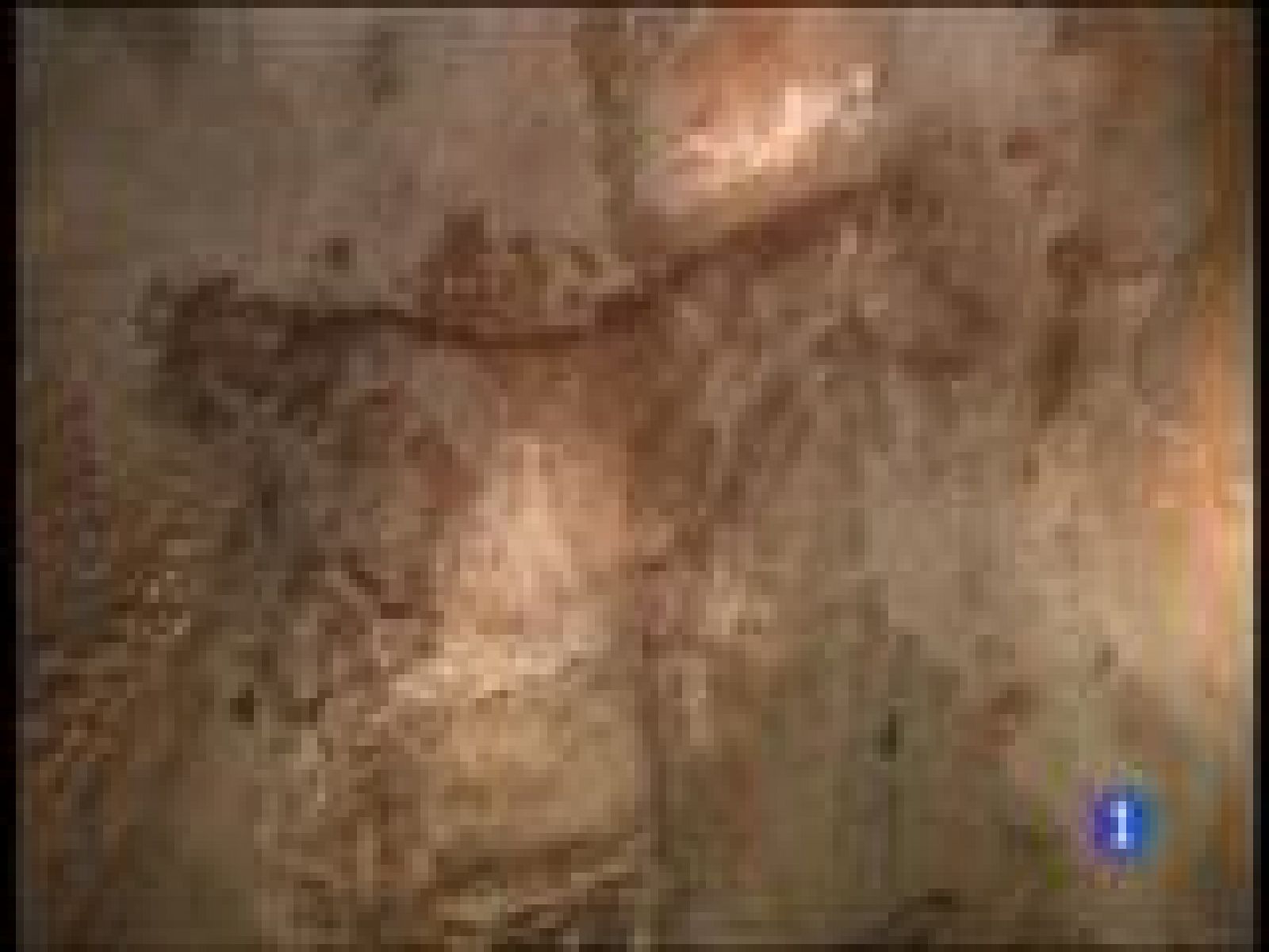 Panorama Regional 2 - 03/07/14 | Ver