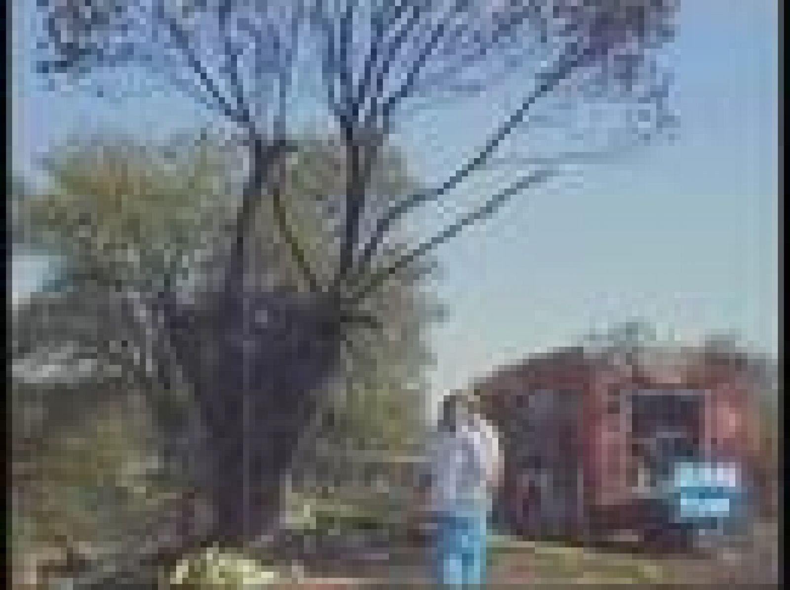 Continúa la investigación | Ver